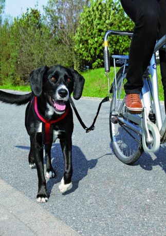 fiets beugel Biker set deluxe met veer