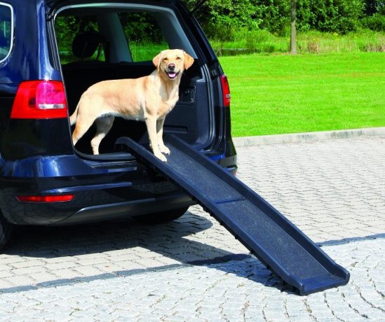 Loopplank auto plastiek (tot 90kg) Zwart 40x156CM