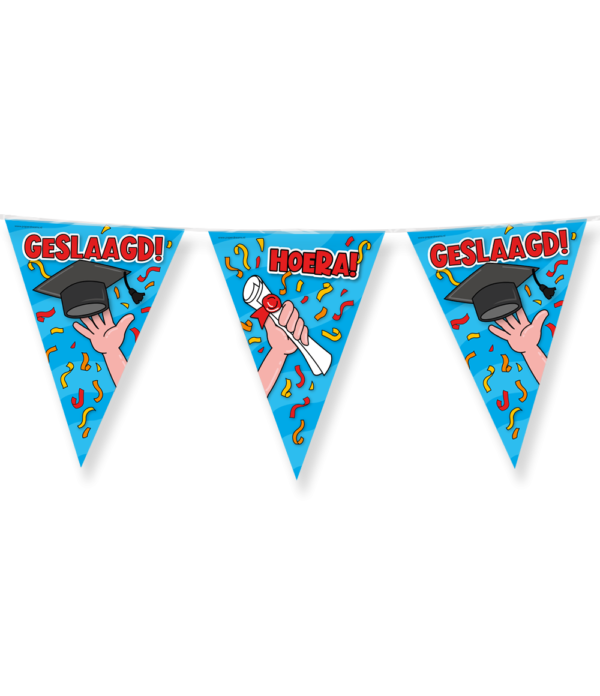 Party Flags Geslaagd school cartoon